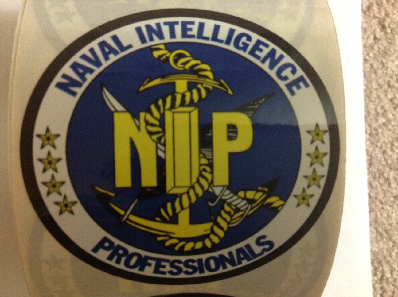 NIP Logo Decal